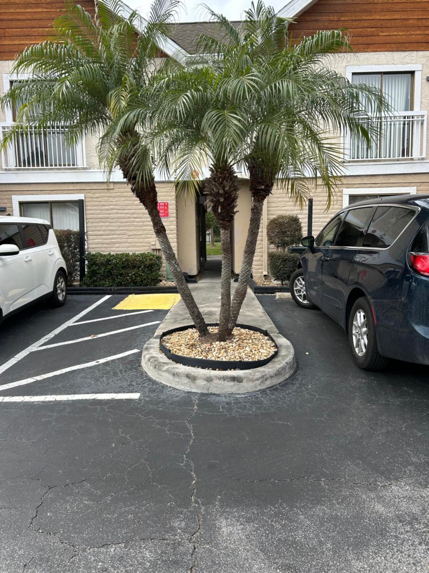 Tranquil Haven 2bd 2ba Paradise 10min To Orlando's Theme Parks Apartment *